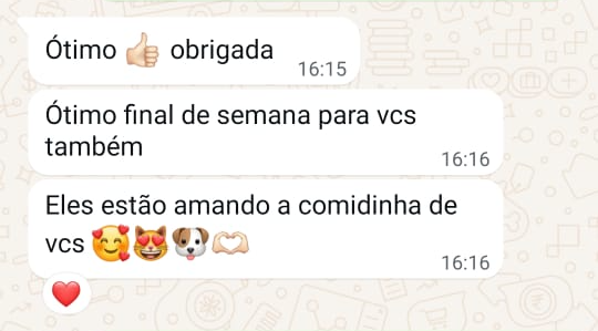 Depoimento por WhatsApp