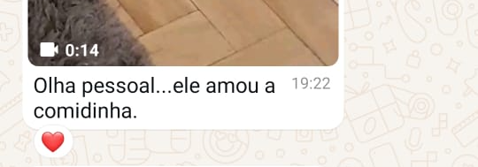 Depoimento por WhatsApp